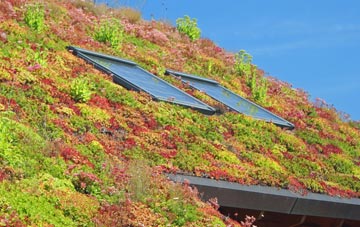 Wick Street living roof systems